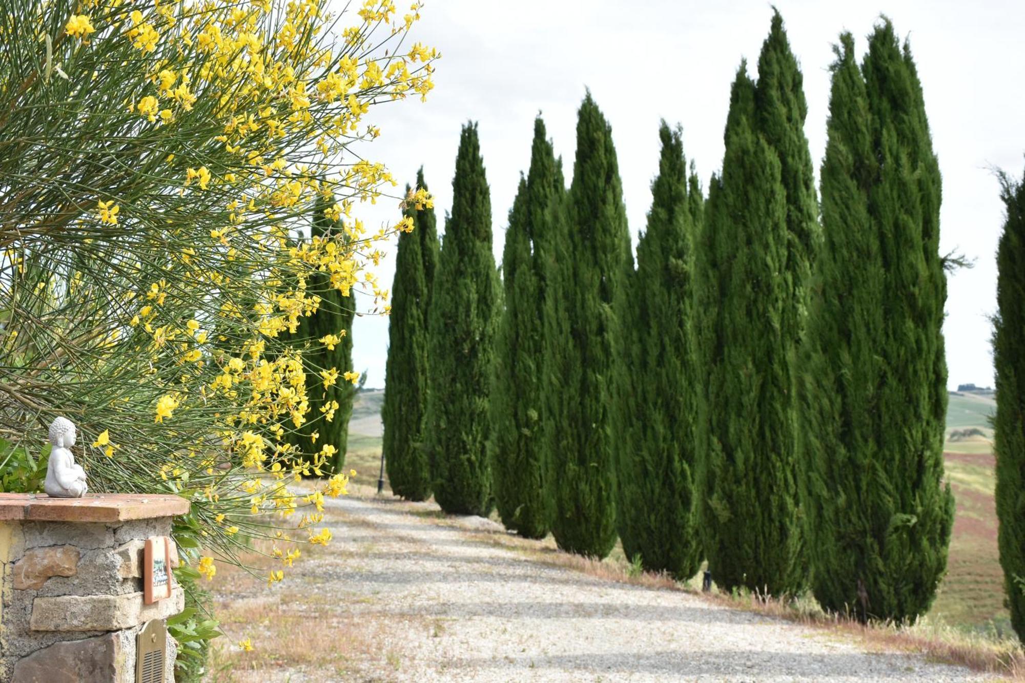 Podere Le Volpaie, Volterra, Tuscany Villa Montecatini Val di Cecina Buitenkant foto